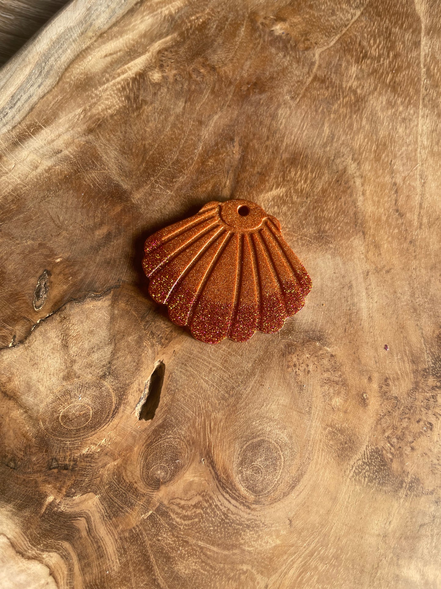 Coquillage taille L