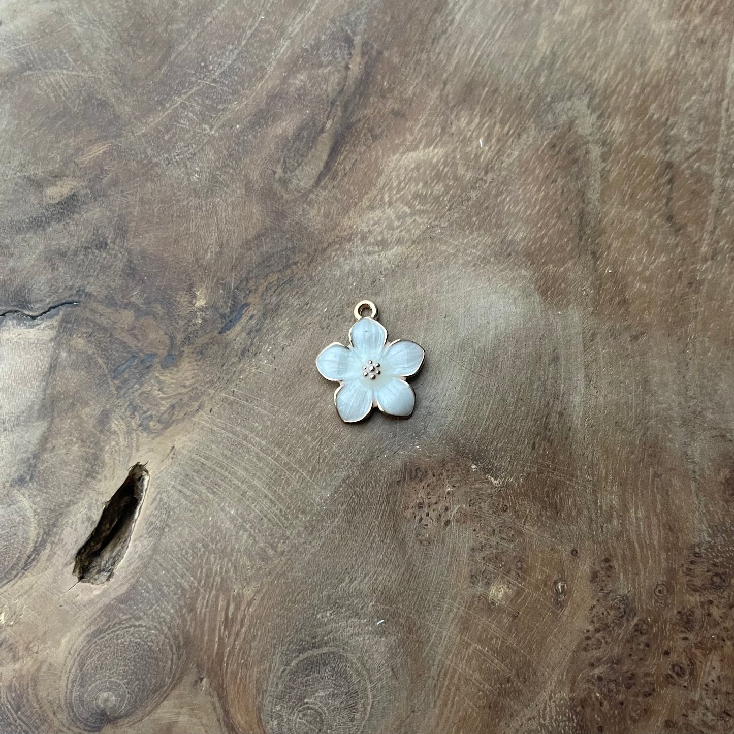 Fleur blanche