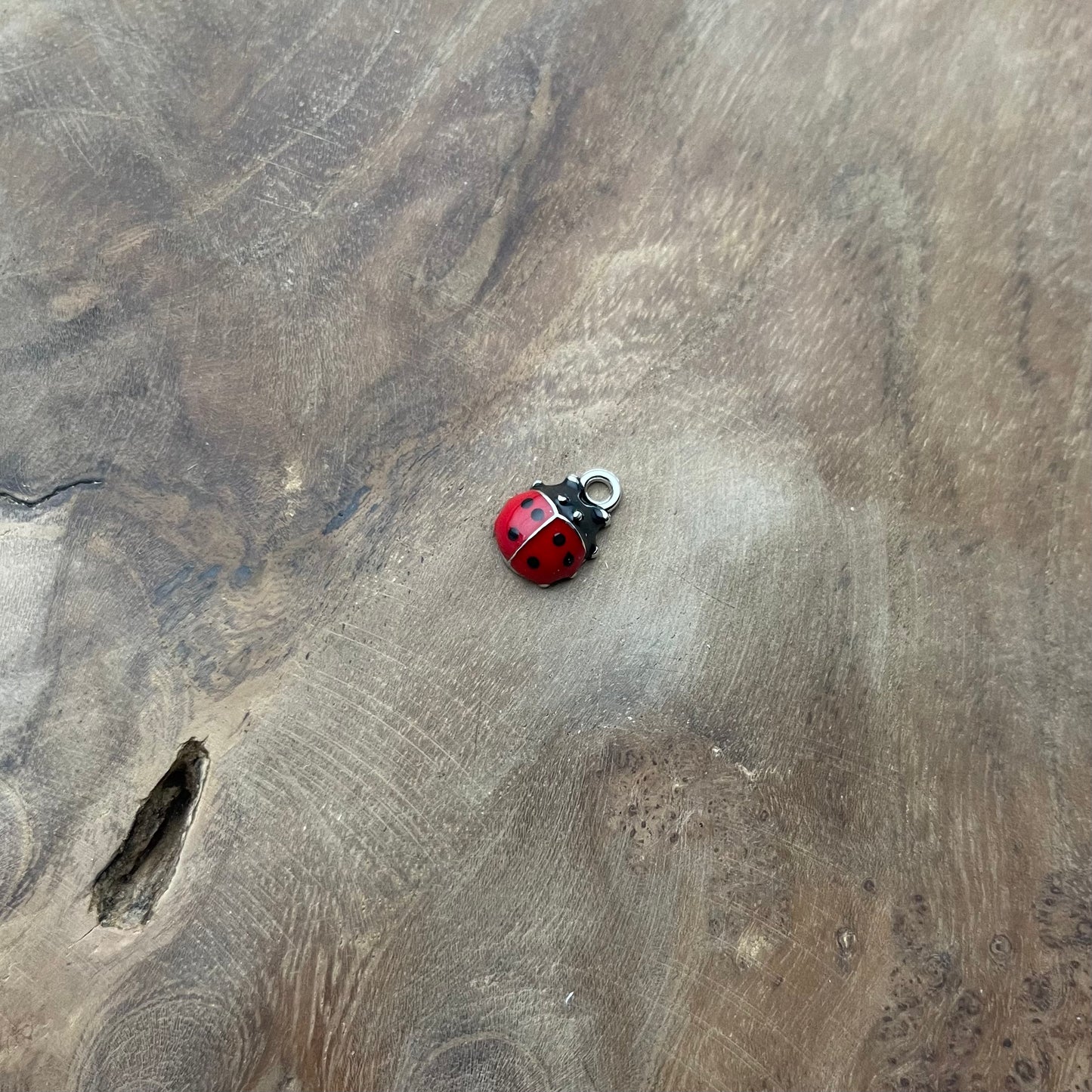 Coccinelle