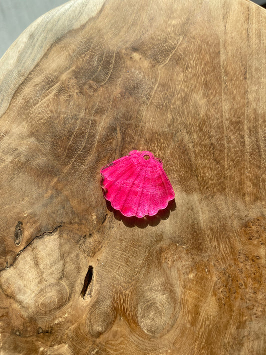 Coquillage taille M