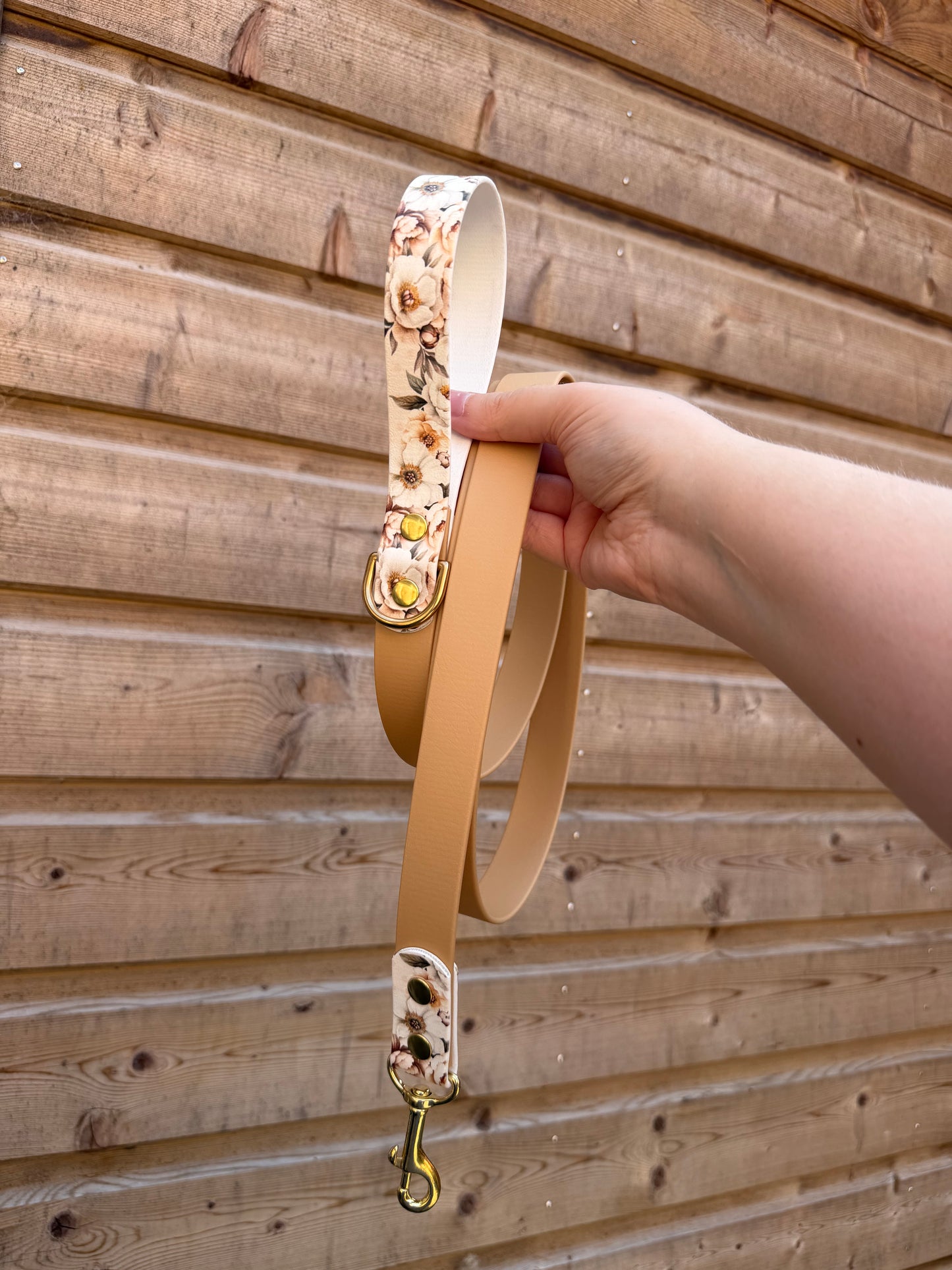 Laisse simple 150cm