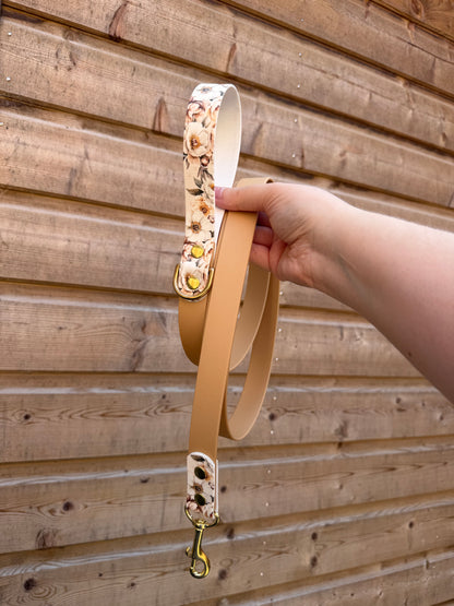 Laisse simple 150cm