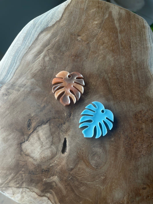 Monstera taille L