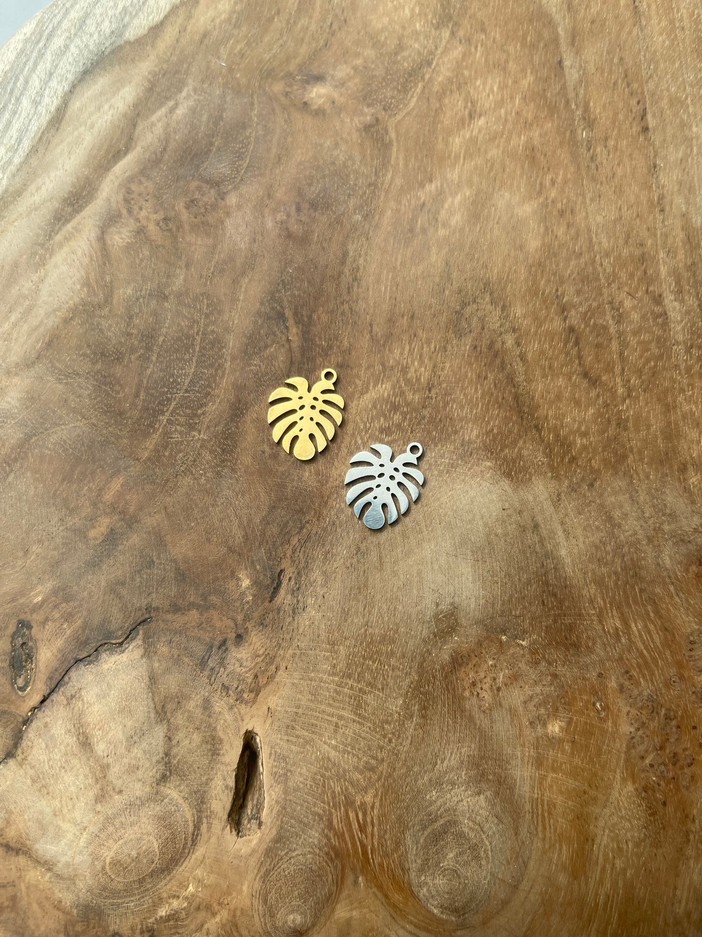 Monstera