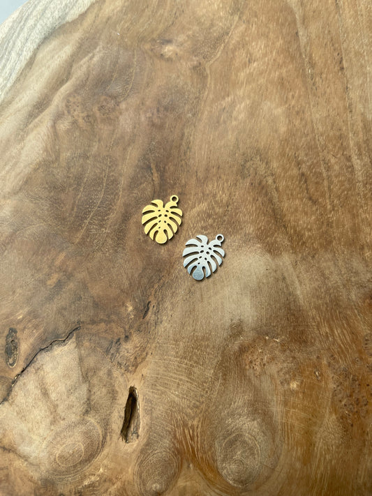 Monstera