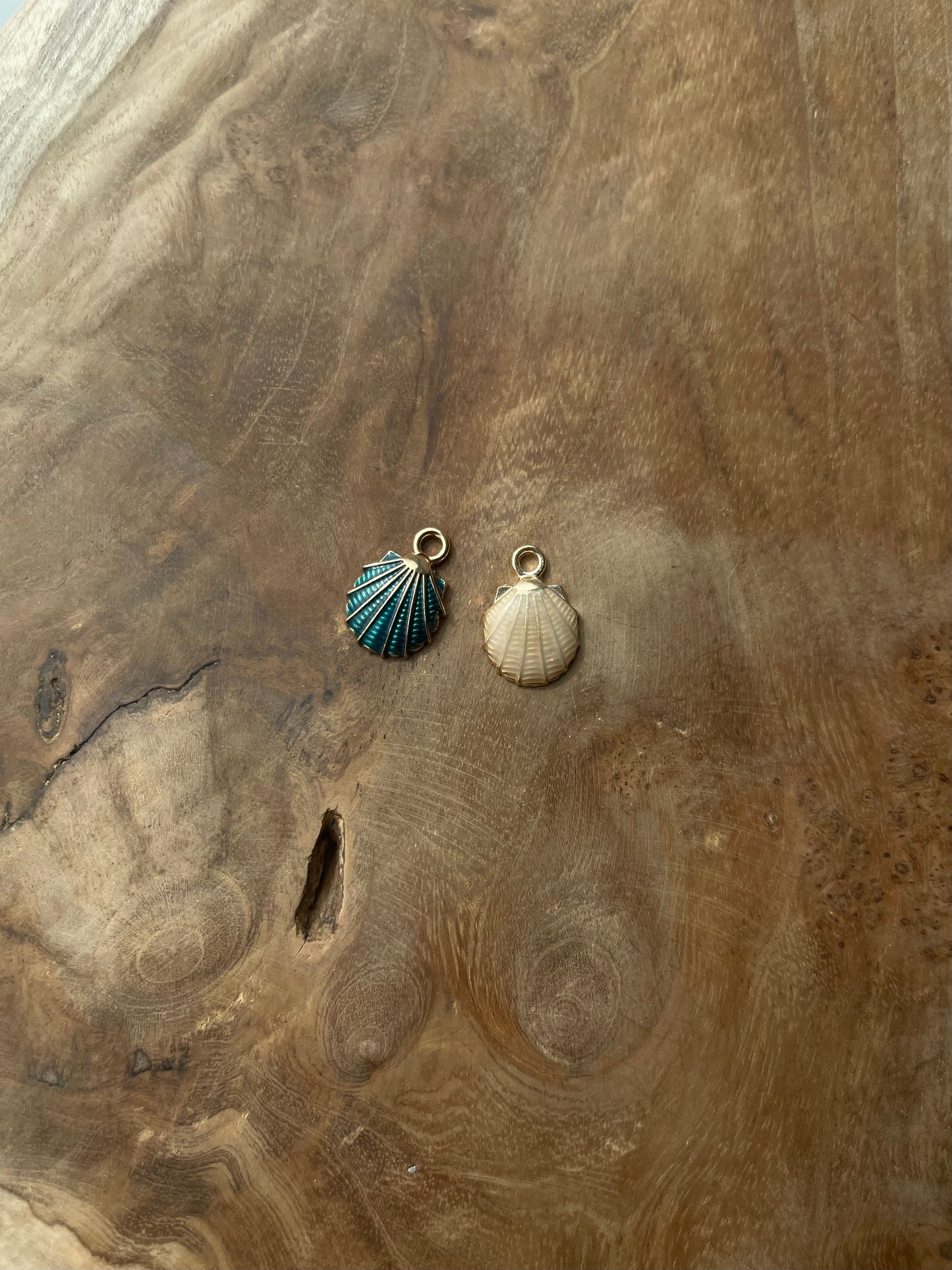 Coquillage