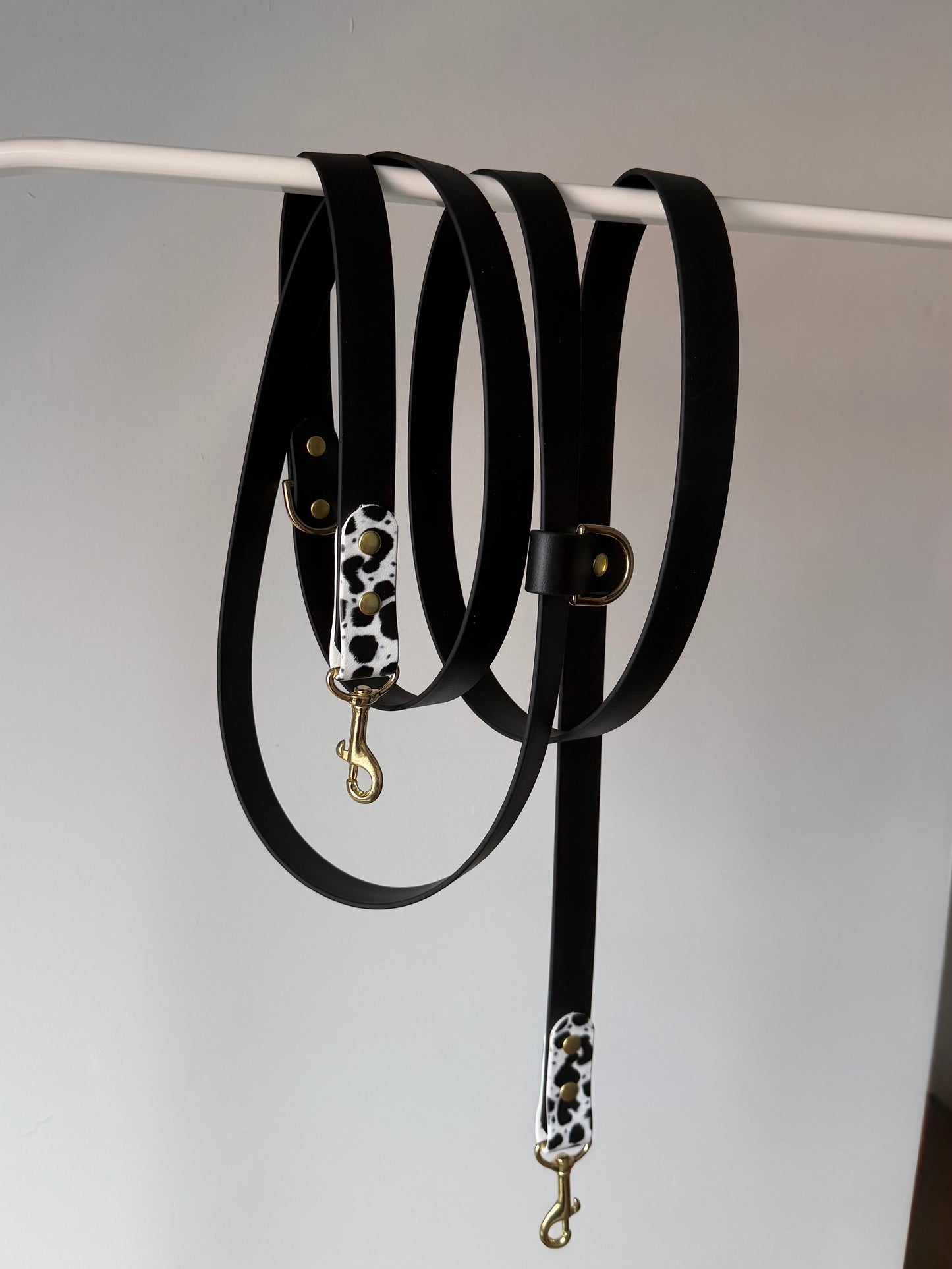 Laisse multipositions 260cm