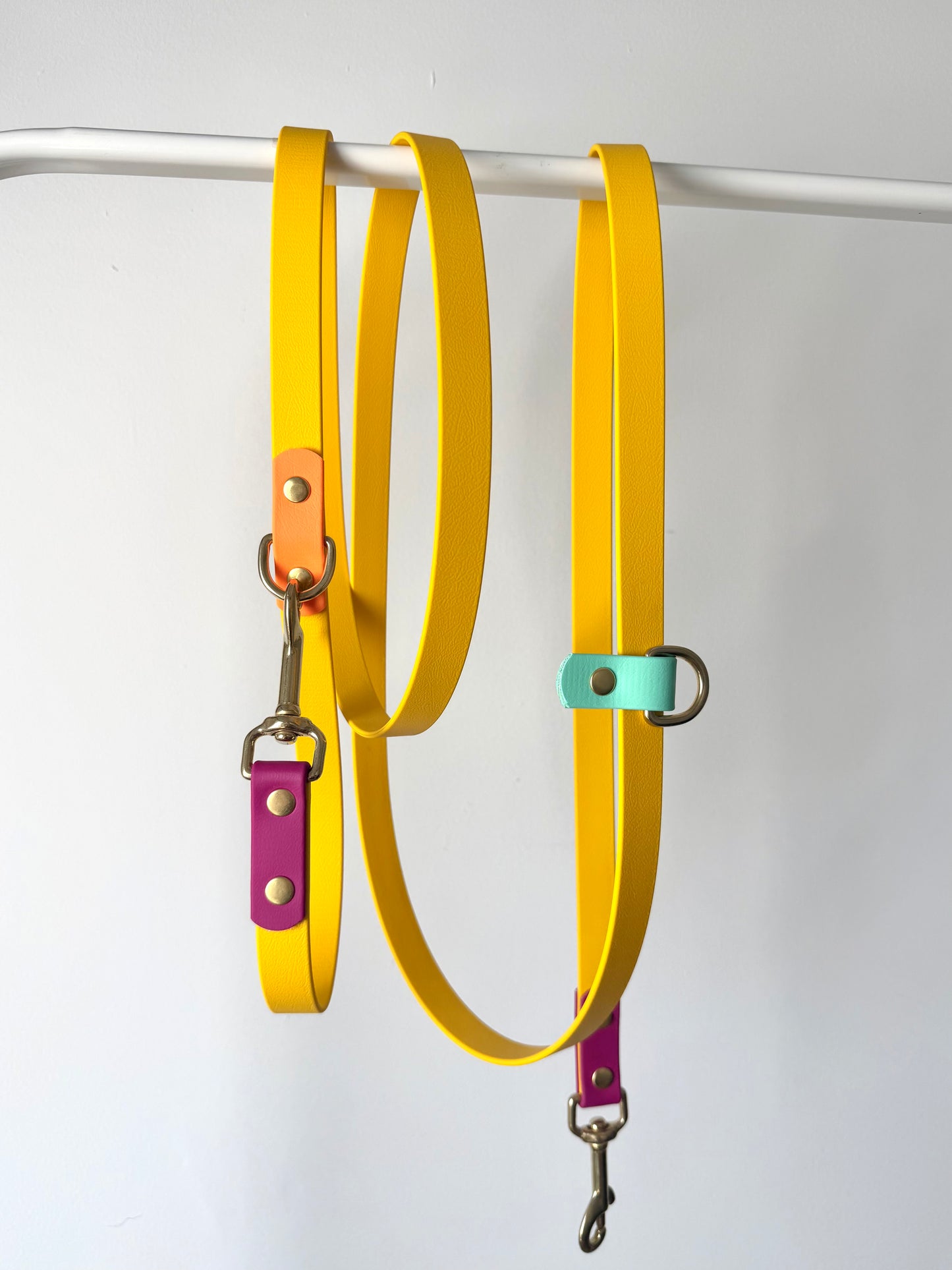 Laisse multipositions 260cm