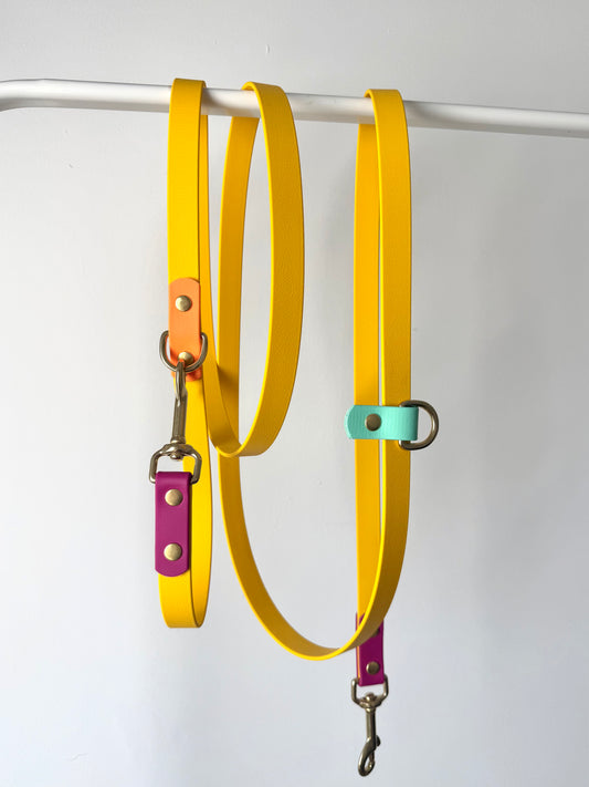 Laisse multipositions 260cm