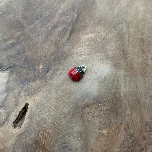Coccinelle