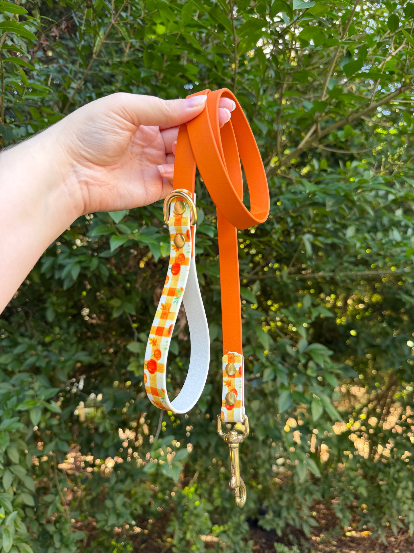 Laisse simple 120cm