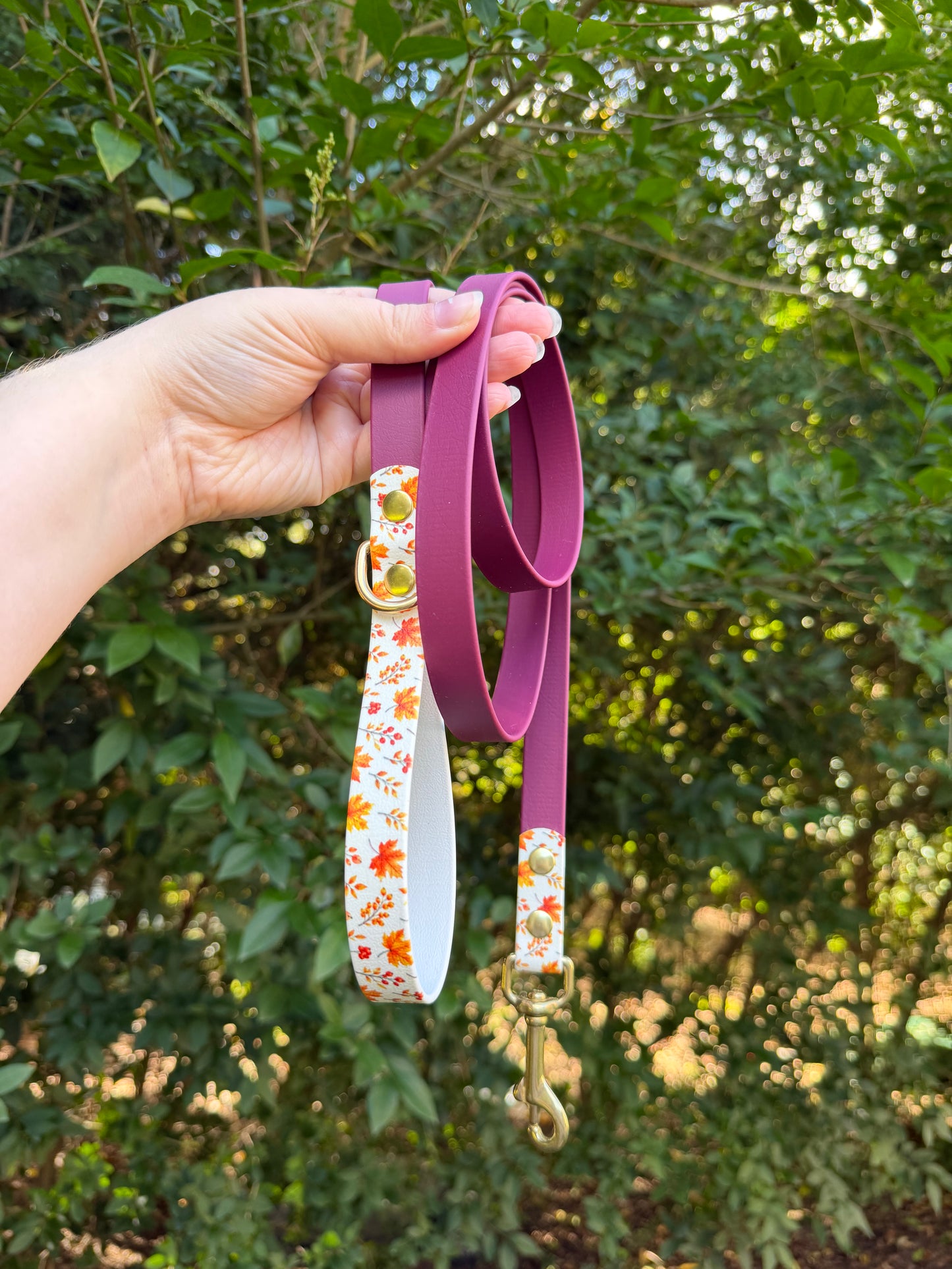 Laisse feuilles d'érable