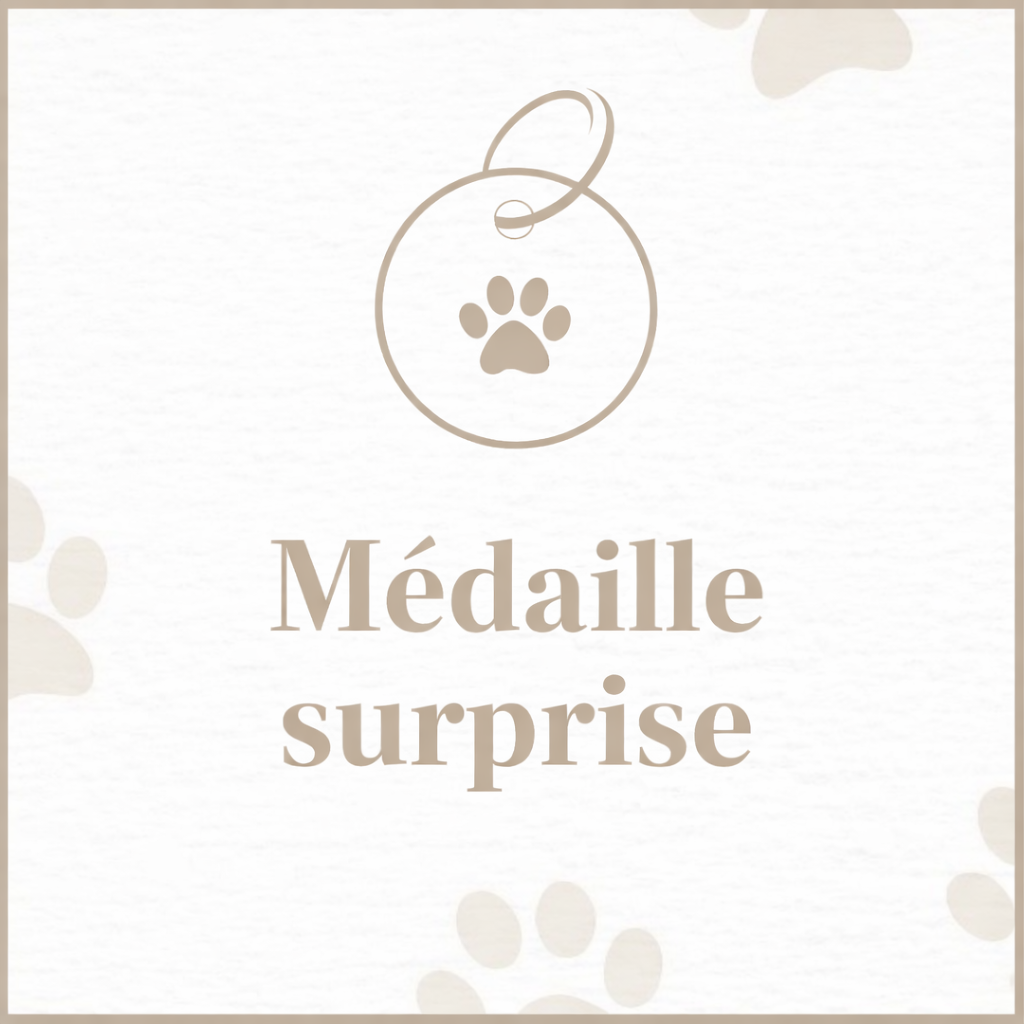 Médaille surprise - taille S