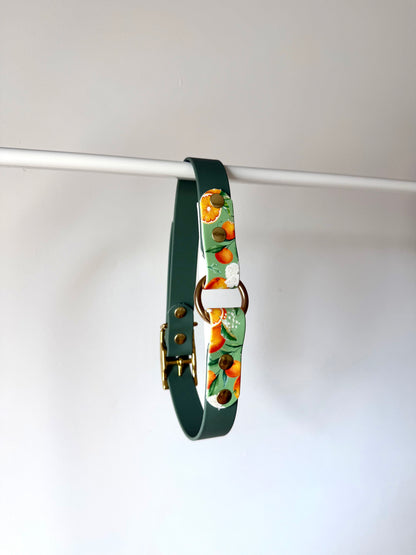 Collier Roma 25mm