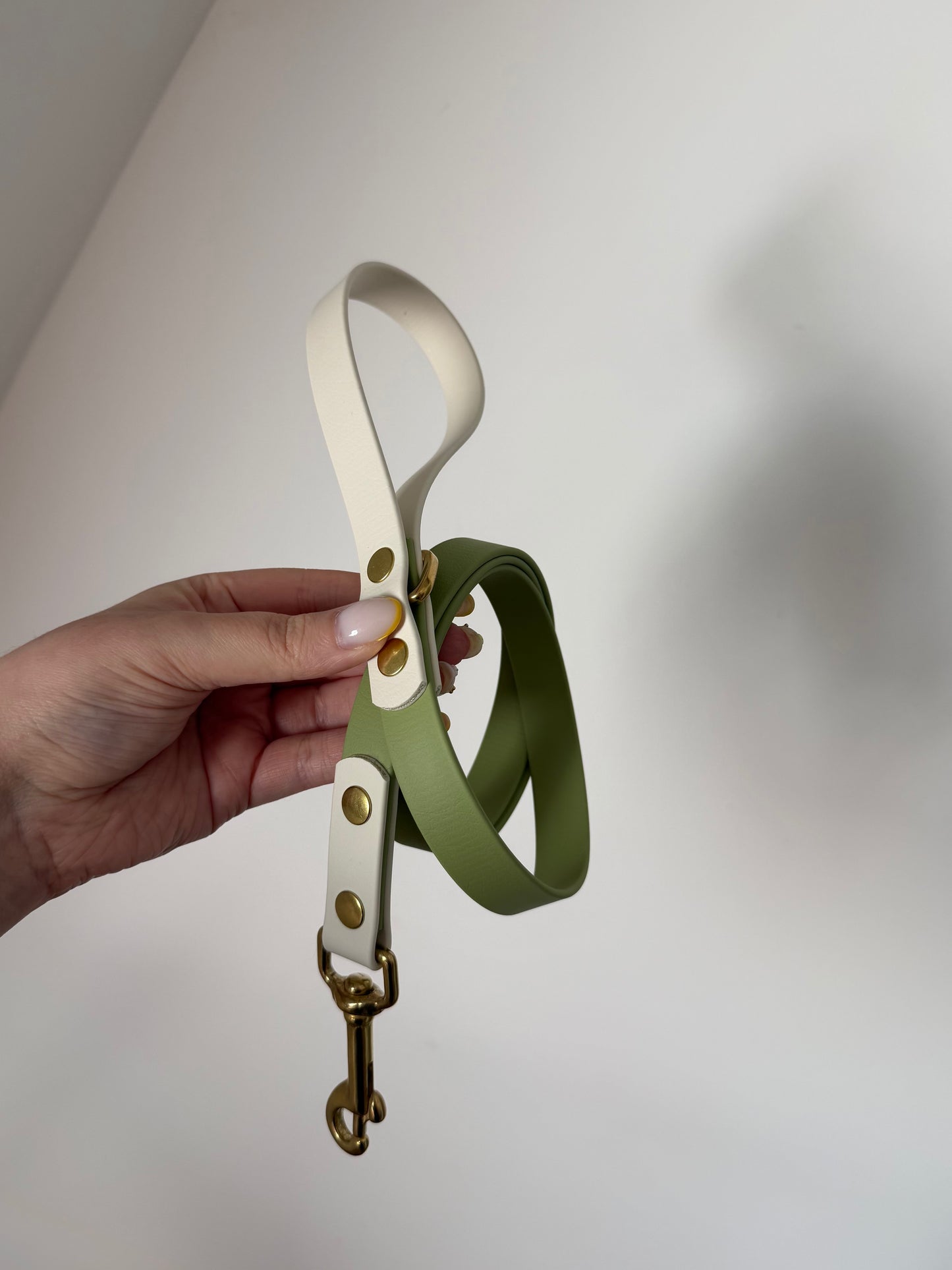 Laisse 120cm
