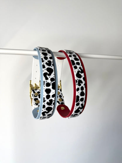 Collier dalmatien 25/38mm