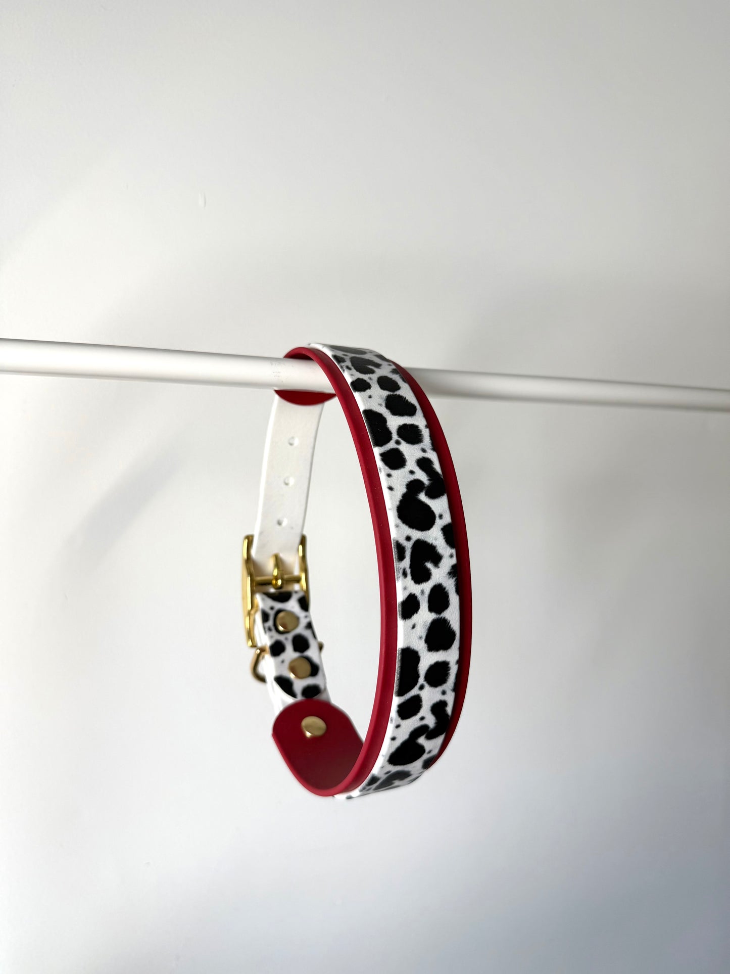 Collier dalmatien 25/38mm