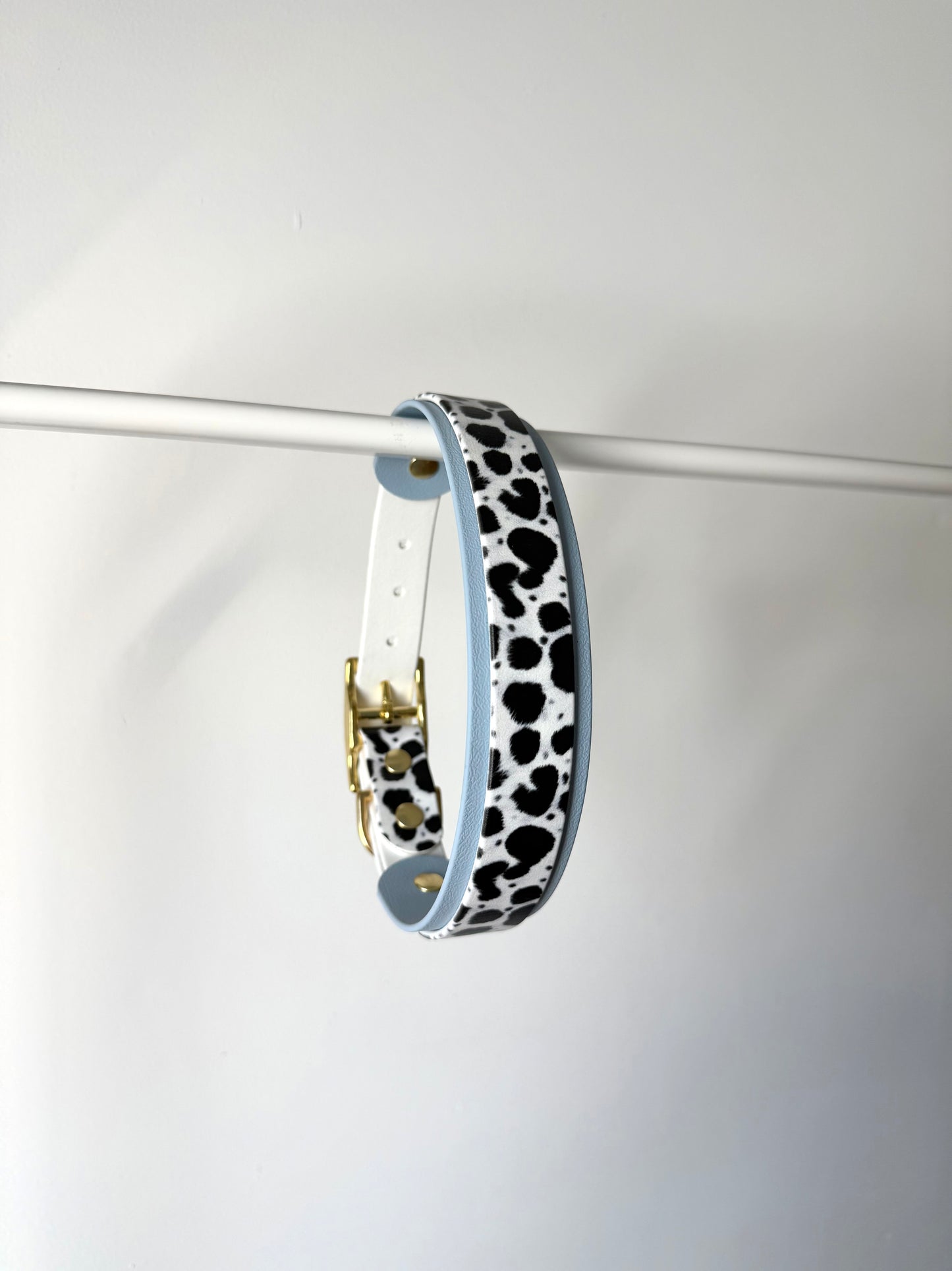 Collier dalmatien 25/38mm