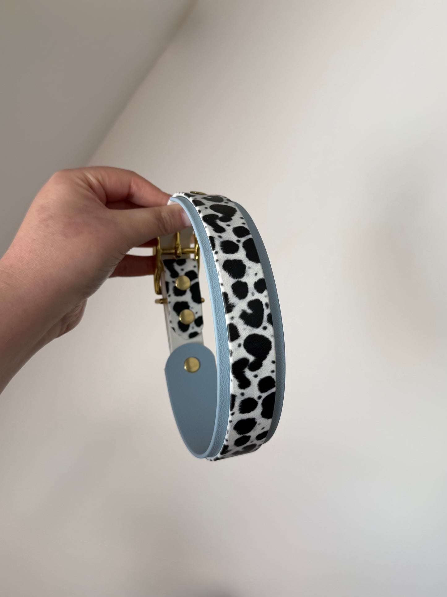 Collier dalmatien 38 à 46cm