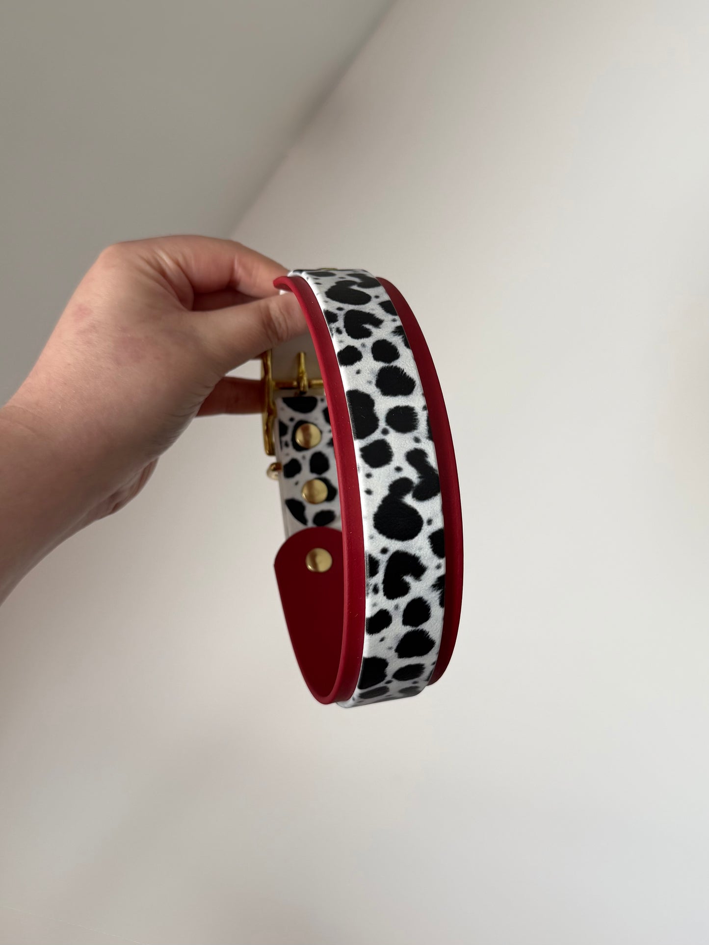 Collier dalmatien 38 à 46cm