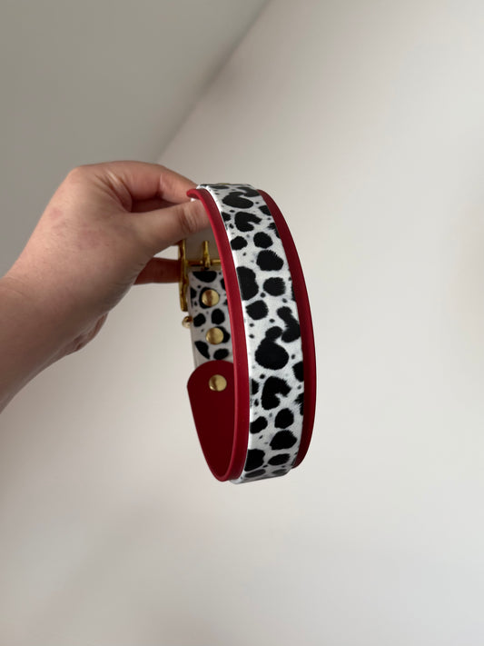 Collier dalmatien 38 à 46cm