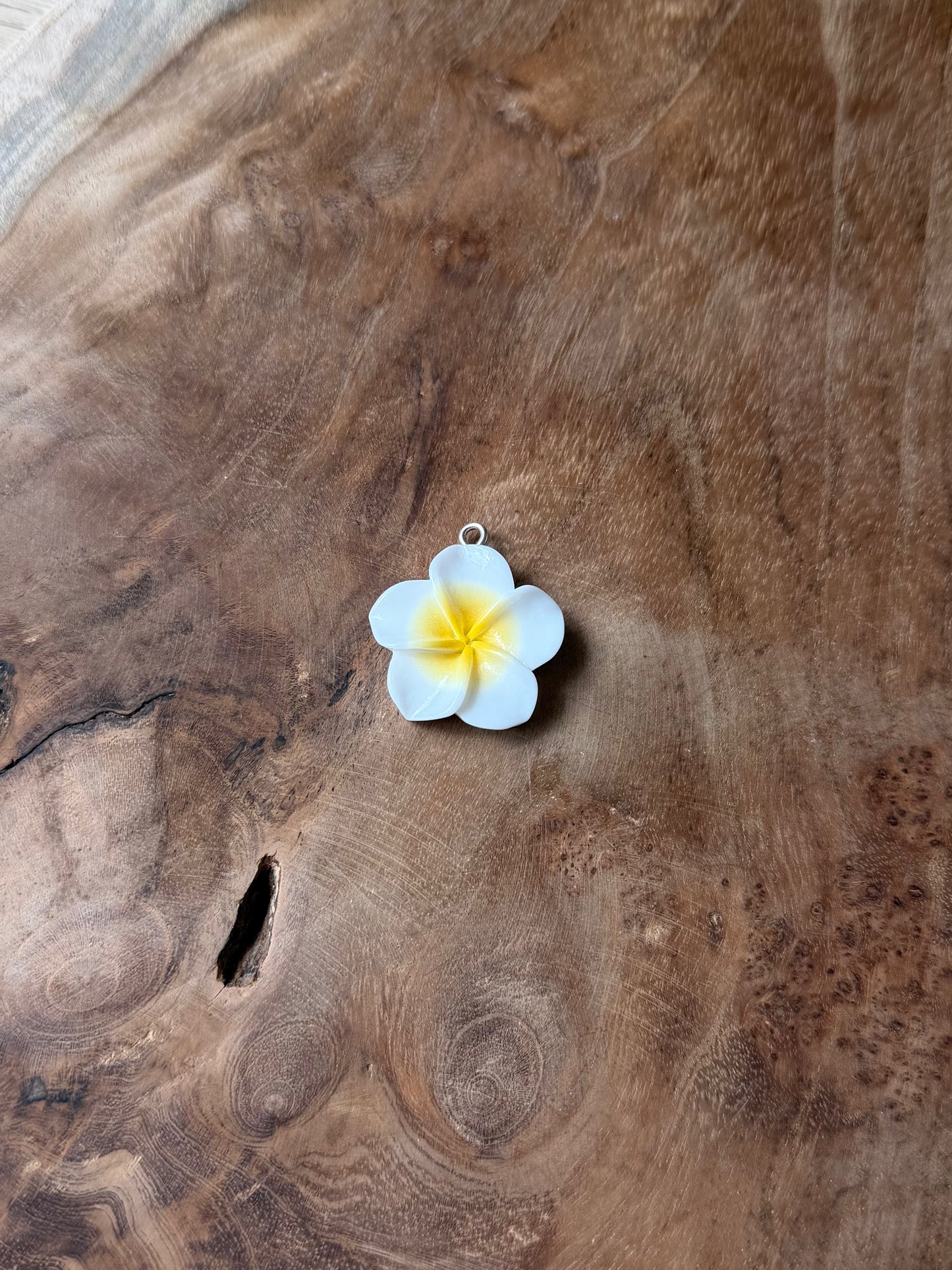 Fleur de tiaré