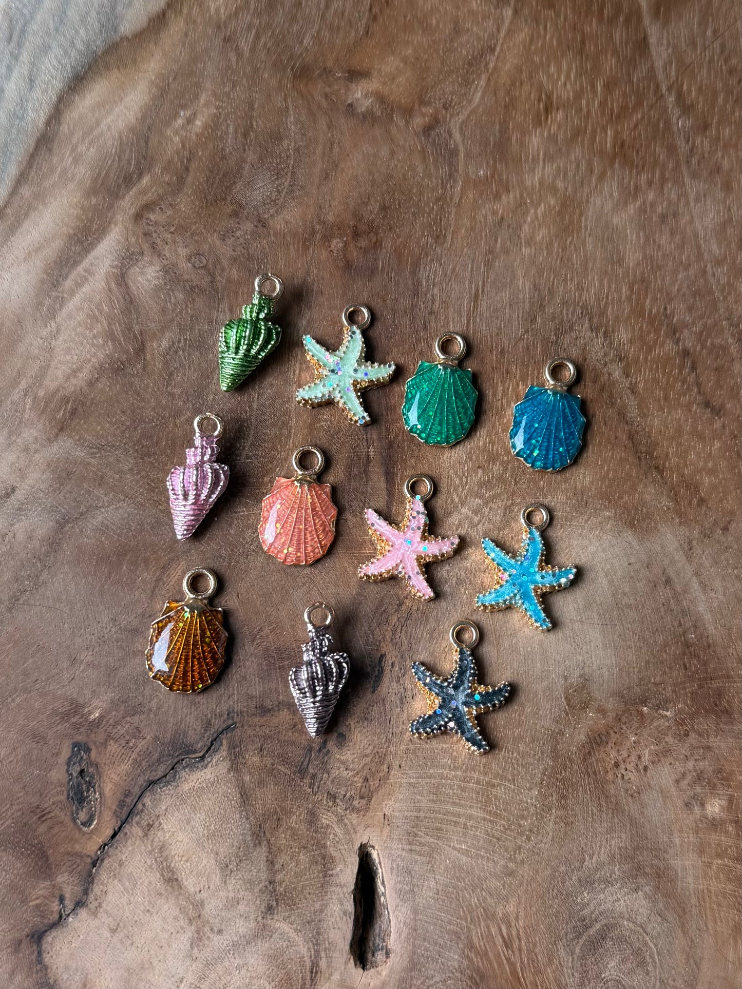 Coquillages